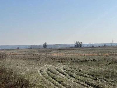 Броварський район, с. Пухівка, Центральная вул.