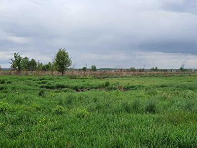 Обухівський район, с. Великі Дмитровичі, Подгорная