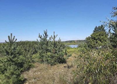 Київська обл., Бориспільський район, с. Вороньків, Вороньков, улица Вороньків