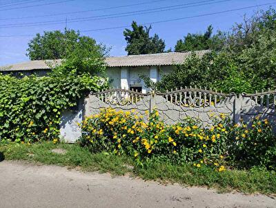 Київська обл., Бориспільський район, с. Іванків, Свободи