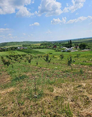 Закарпатская обл., Береговский район, с. Запсонь