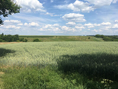 Миронівський район, с. Микитяни, Тракторная вул.