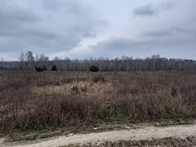 Васильківський район, с. Рославичі, Полевая вул., Долинова