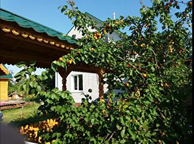 Киевская обл., Бориспольский район, с. Вишенки