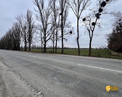 Васильківський район, с. Іванковичі