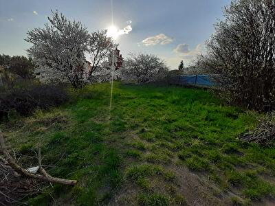Макарівський район, с. Новосілки