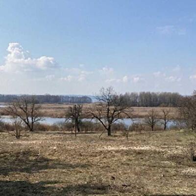 Київська обл., Бориспільський район, с. Головурів, улица Головурівська с/р