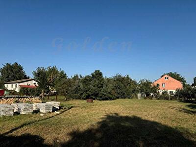 Бориспільський район, с. Гора, Яблунева вул.