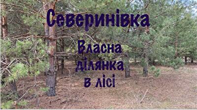 Макарівський район, с. Северинівка, Степова