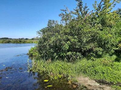 Бориспільський район, с. Головурів