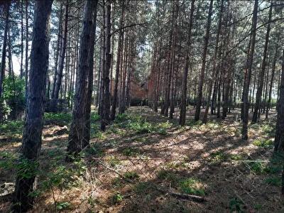 Бориспільський район, с. Вороньків, Вороньков, улица Вороньків