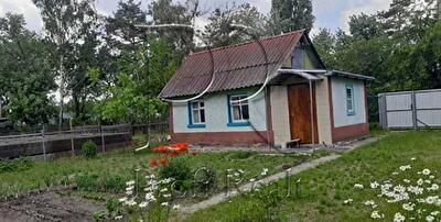 с. Скибин, 12 Лінія