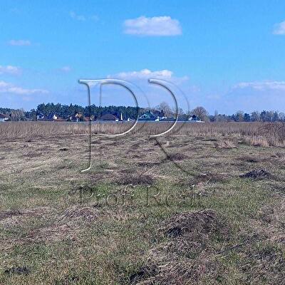 Київська обл., Вишгородський район, с. Хотянівка, Шевченка вулиця