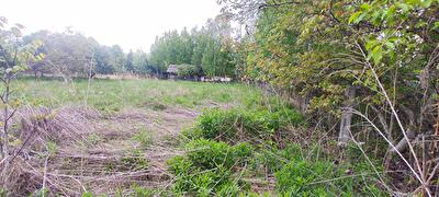 Вышгородский район, г. Вышгород