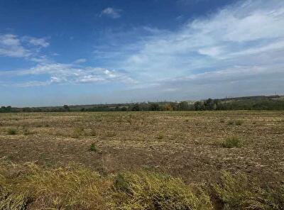 Днепропетровская обл., Днепровский район, с. Новоалександровка, нова