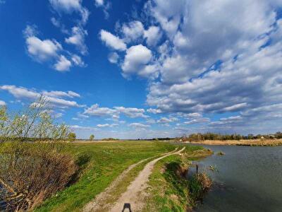 Белоцерковский район, с. Трушки, Центральна