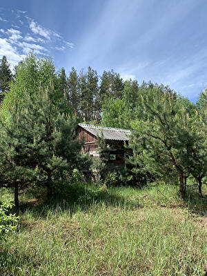 Бородянський район, с. Озерщина