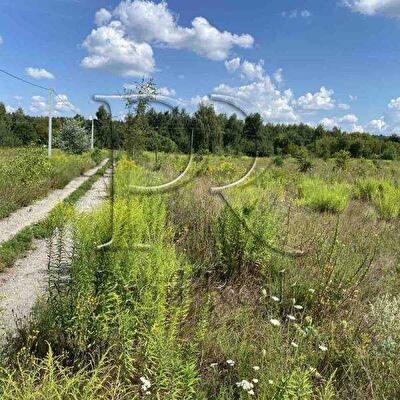 Броварський район, с. Залісся, Центральна вулиця 3