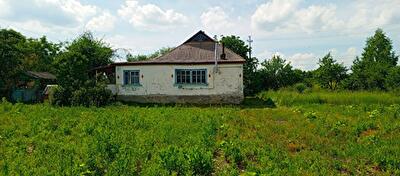 Летичівський район, с. Головчинці