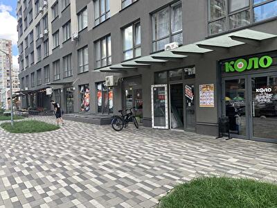 Киев, Александра Олеся ул., 4А