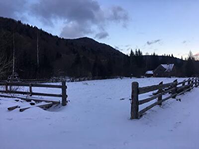 Рожнятовский район, с. Осмолода