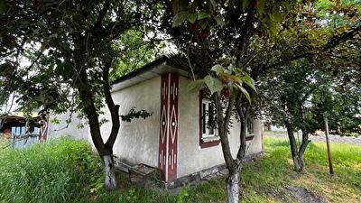 Киевская обл., Броварской район, с. Богдановка, Шевченка