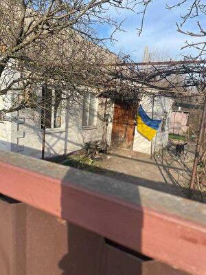 Днепровский район, с. Новоалександровка, Сурсьуа, 95
