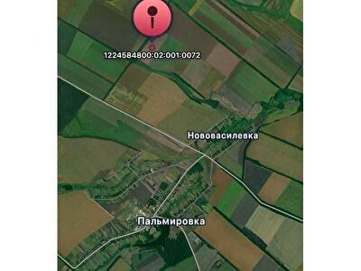 Пятихатский район, с. Пальмировка, Нова 2