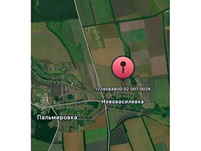 Пятихатский район, с. Пальмировка, Центральна