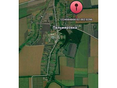 Пятихатский район, с. Пальмировка, Нова 3
