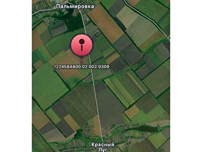 Пятихатский район, с. Пальмировка, Нова 4