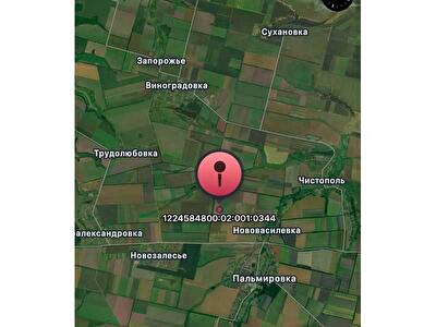 Пятихатский район, с. Пальмировка, Нова 5