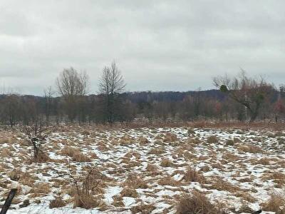 Київська обл., Бориспільський район, с. Сошників, Нова