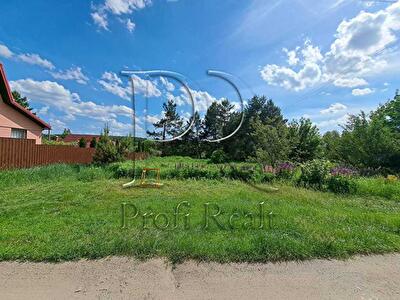Макарівський район, с. Колонщина, Лісова вулиця