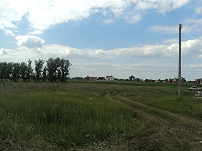 Краевая ул.