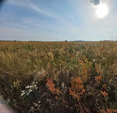 Іванківський район, с. Тетерівське, Лісова