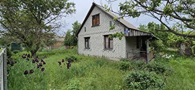 Кагарлыкский район, с. Антоновка, Загребельна, Обухівський р-н.