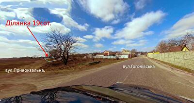 Броварський район, с. Тарасівка, польова