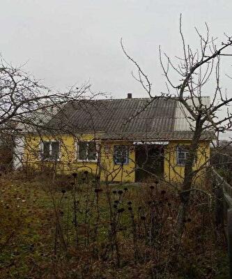 Житомирська обл., Ємільчинський район, смт Ємільчине, Шевченка,, 153