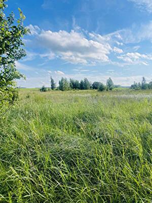 Макаровский район, с. Зуровка