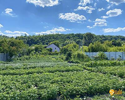 Обухівський район, с. Підгірці