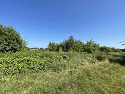 Киевская обл., Броварской район, с. Пуховка, Пасічанська