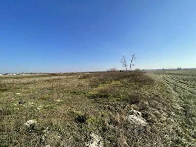 Броварський район, с. Пухівка, Центральная вул.