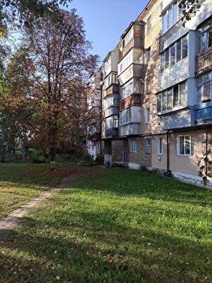 Васильківський район, смт Калинівка, Центральна, 80