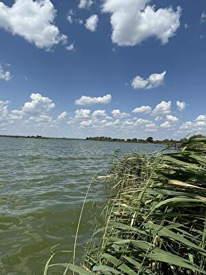 Дніпропетровська обл., Дніпровський район, с. Олександрівка