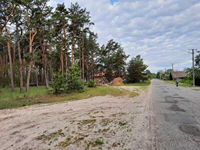 Вышгородский район, с. Низшая Дубечня