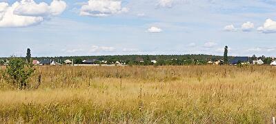 Вышгородский район, с. Лебедевка