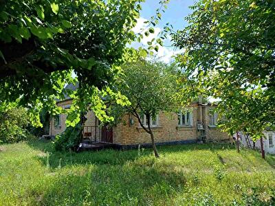Київська обл., Васильківський район, с. Погреби, Весняна