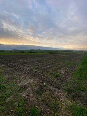 Жовківський район, с. Великі Грибовичі, Малі Грибовичі