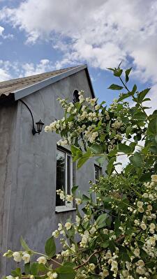 Раздельнянский район, г. Раздельная